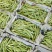 《芸豆角》白芸豆基地直供量大从优全国代发欢迎来电