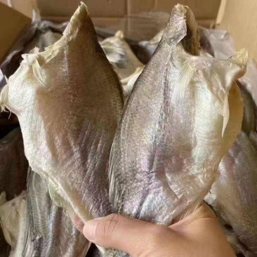 鲈鱼干咸香鲈鱼干又肥又香大中小号都有