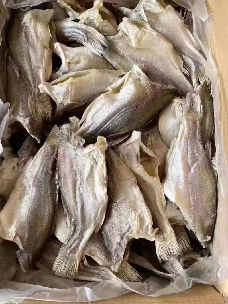 鲈鱼干咸香鲈鱼干又肥又香大中小号都有