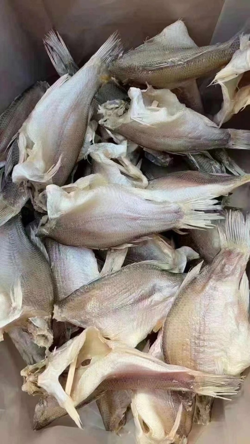 鲈鱼干咸香鲈鱼干又肥又香大中小号都有