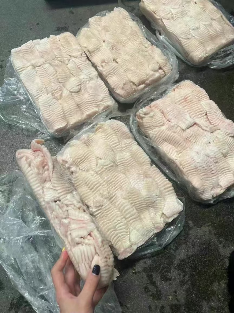 猪天梯货干冰水少精修不带肉猪天堂火锅食材板牙