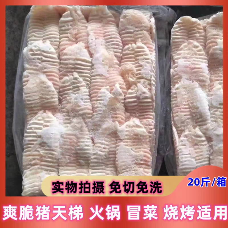 猪天梯货干冰水少精修不带肉猪天堂火锅食材板牙