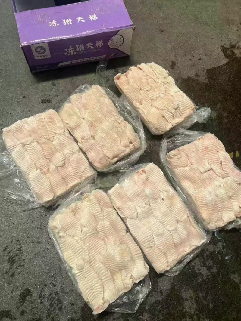 猪天梯货干冰水少精修不带肉猪天堂火锅食材板牙