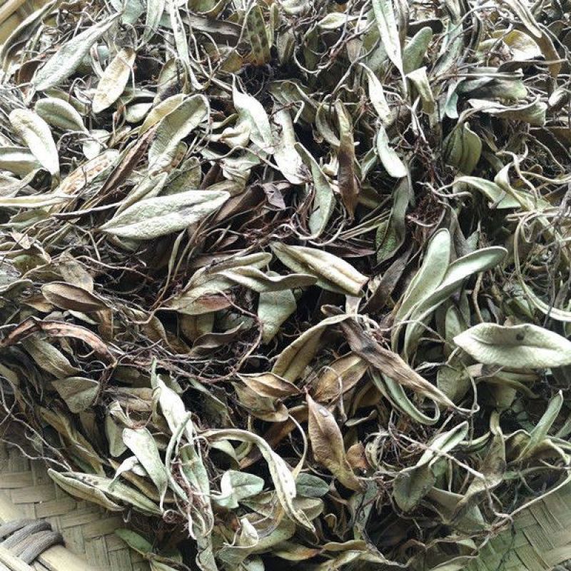 抱石莲1公斤中药材