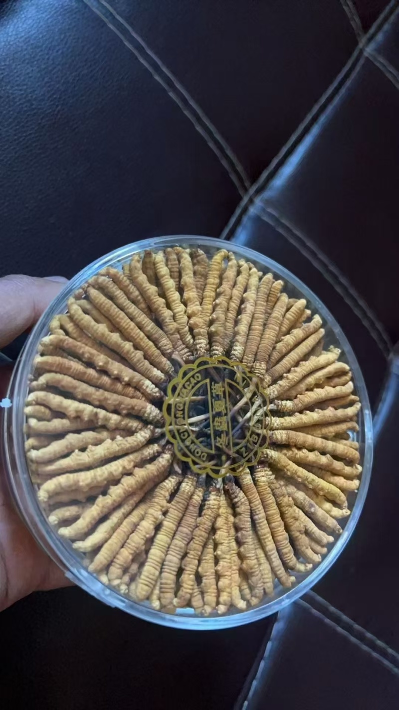 那曲精品虫草，年首优惠出售，新老客户精选虫草