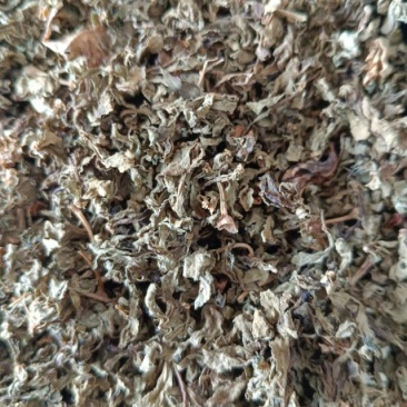 规格齐全枸杞芽茶叶长期供货价格美丽