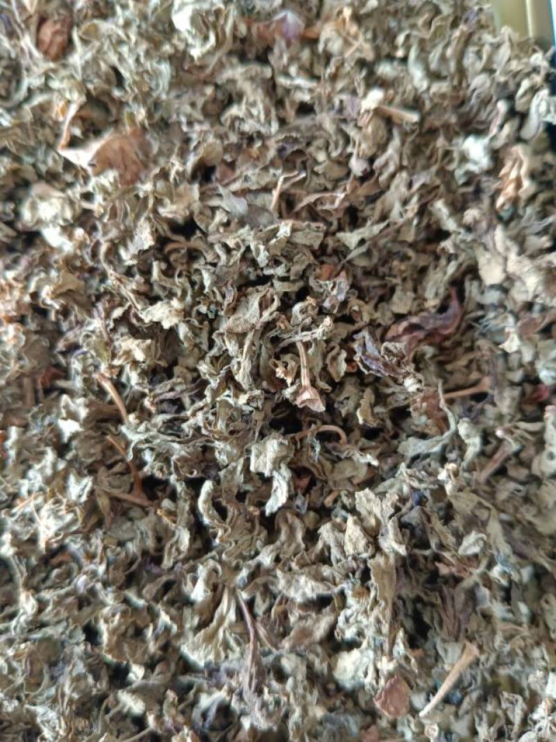 规格齐全枸杞芽茶叶长期供货价格美丽