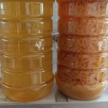 推荐蜂蜜荆条蜜自家养殖常年有货保质保量
