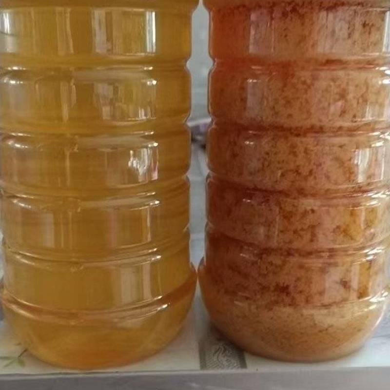 推荐蜂蜜荆条蜜自家养殖常年有货保质保量