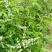 推荐蜂蜜荆条蜜自家养殖常年有货保质保量