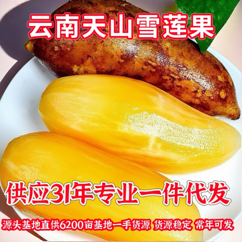专业电商一件代发全网可发多种价格品质可以选择！