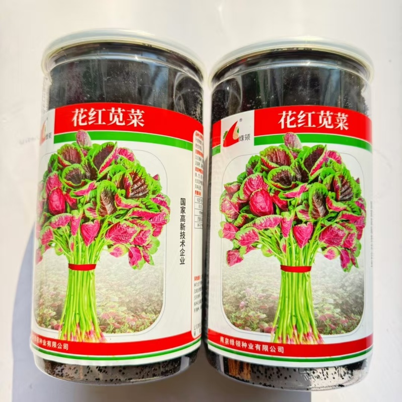 红苋菜种子绿领花红苋菜中熟耐热性较强
