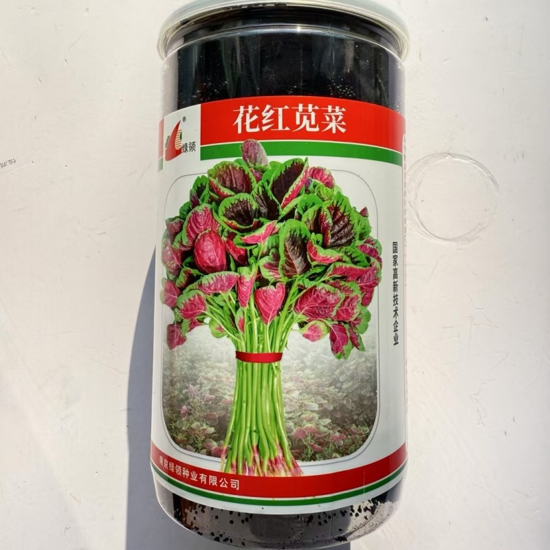 红苋菜种子绿领花红苋菜中熟耐热性较强