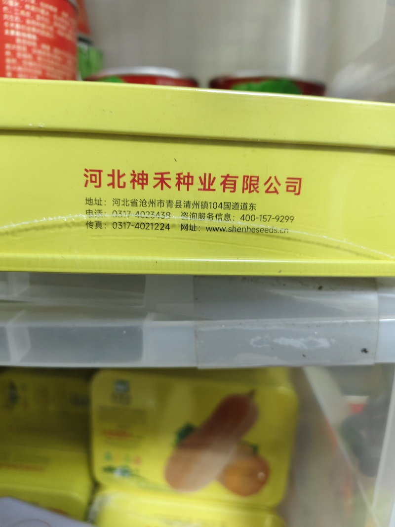 卡其蜜栗南瓜籽绿甜栗南瓜种子高产甜面板栗南瓜种子早熟粉面