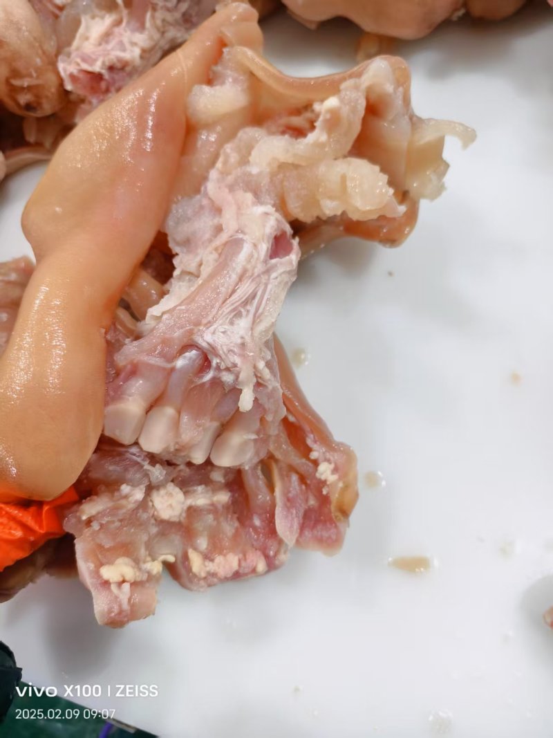 【熟食牛蹄】熟去骨牛蹄水煮质量保证