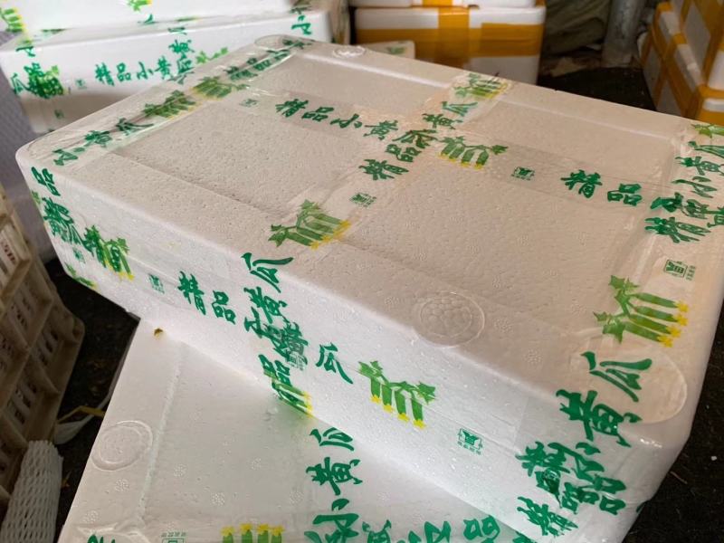 水果黄瓜精品小黄瓜凉拌菜黄瓜一件代发迷你黄瓜无刺黄瓜微甜
