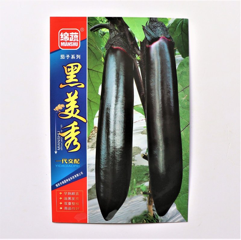 黑美秀茄子种子早熟抗病性强高产油黑发亮茄子种子