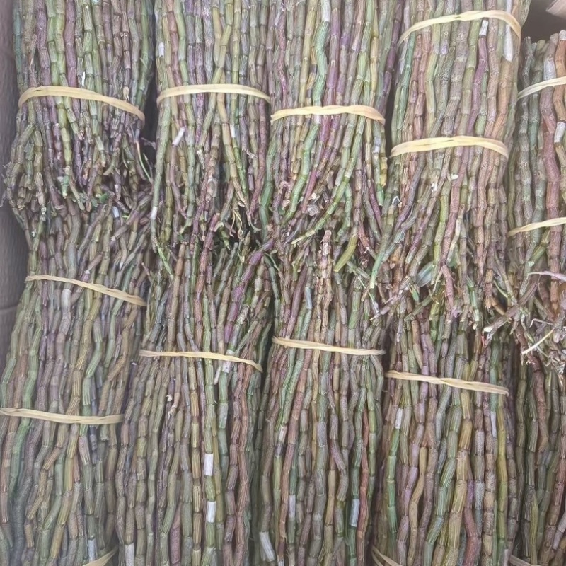 云南铁皮石斛鲜条5年鲜石斛正宗新鲜可食用正品