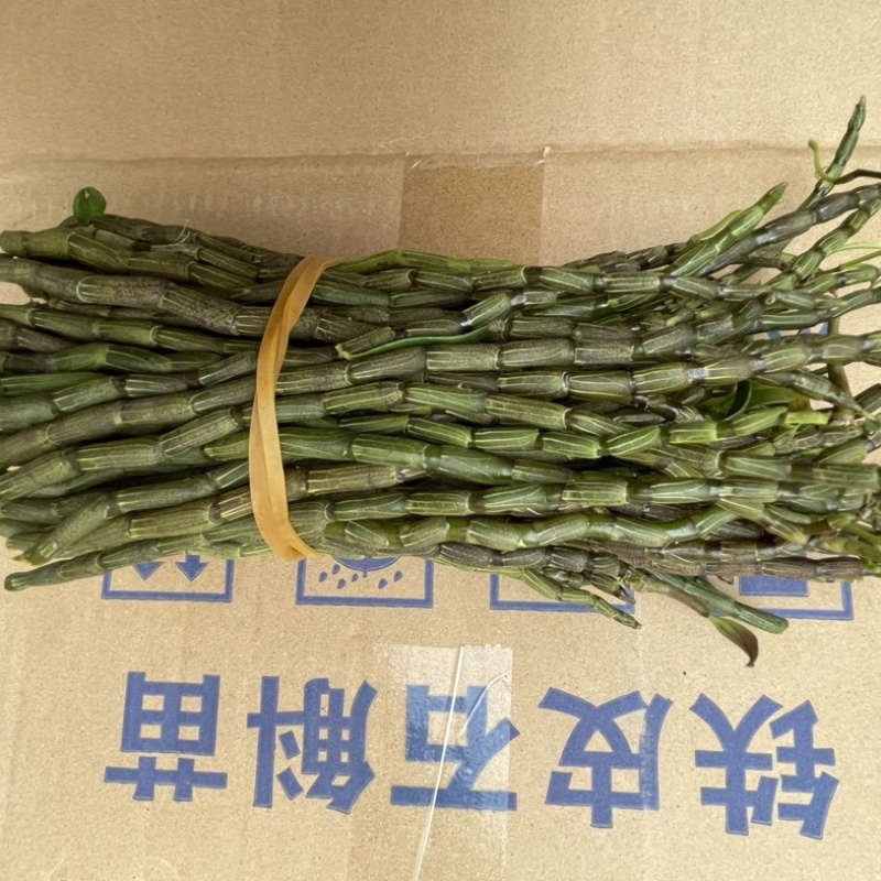 云南铁皮石斛鲜条5年鲜石斛正宗新鲜可食用正品