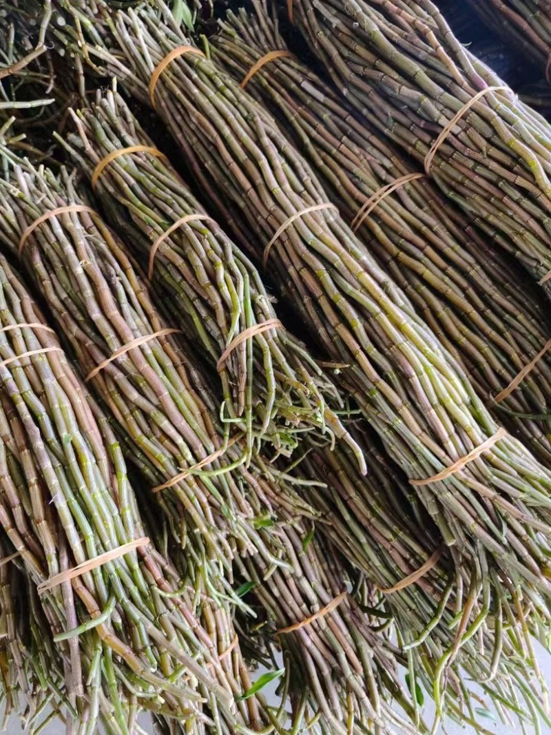 云南铁皮石斛鲜条5年鲜石斛正宗新鲜可食用正品