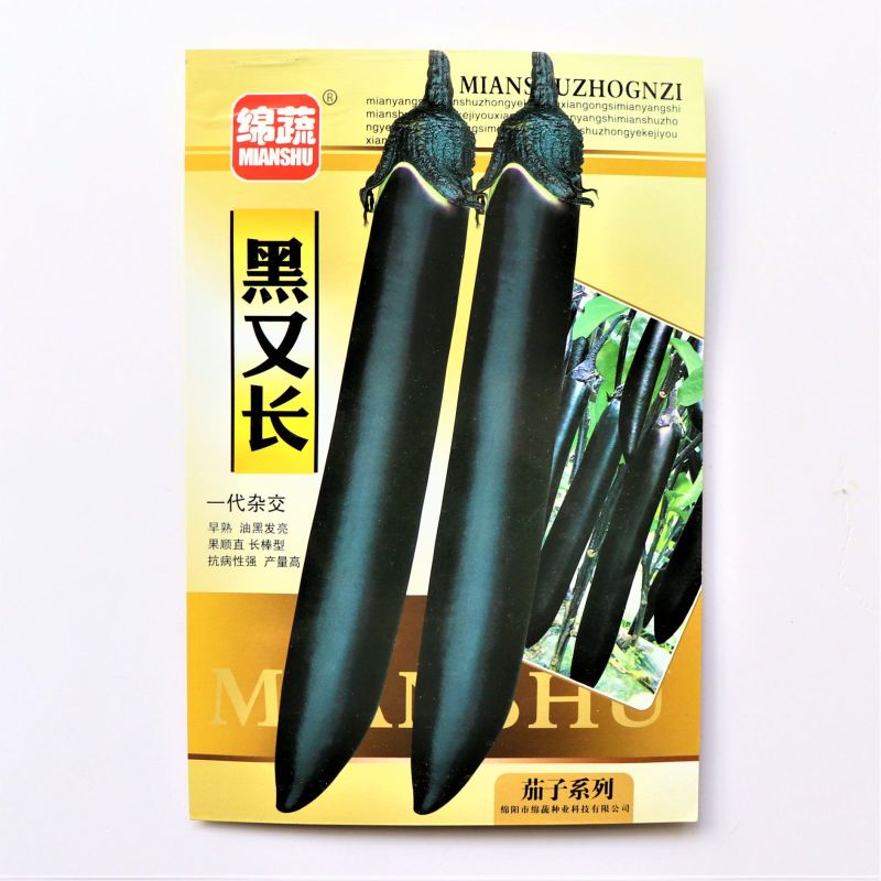 黑又长早熟杂交一代茄子种子果实长棒顺直黑亮长茄种子