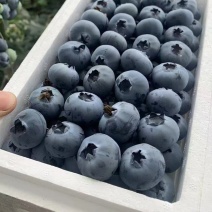 蓝莓