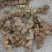 新鲜现挖正品新鲜黄精鲜货大黄精煲汤优质老黄精野生