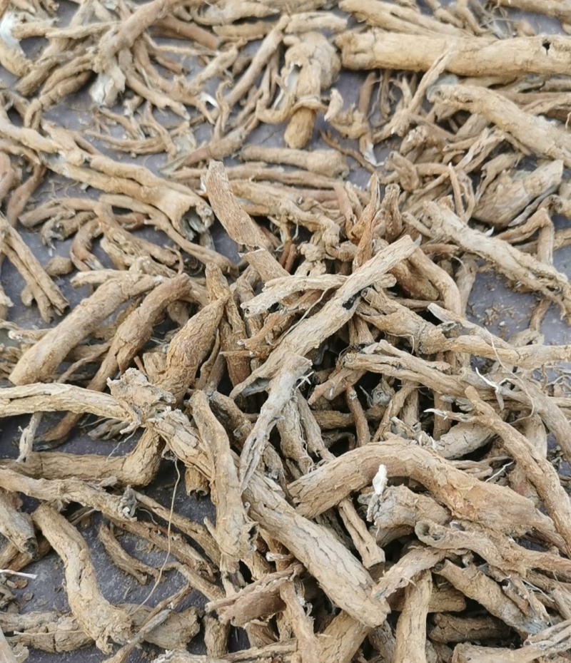伏牛山地骨皮，非种植货源，量大价格优惠，可长期供货！