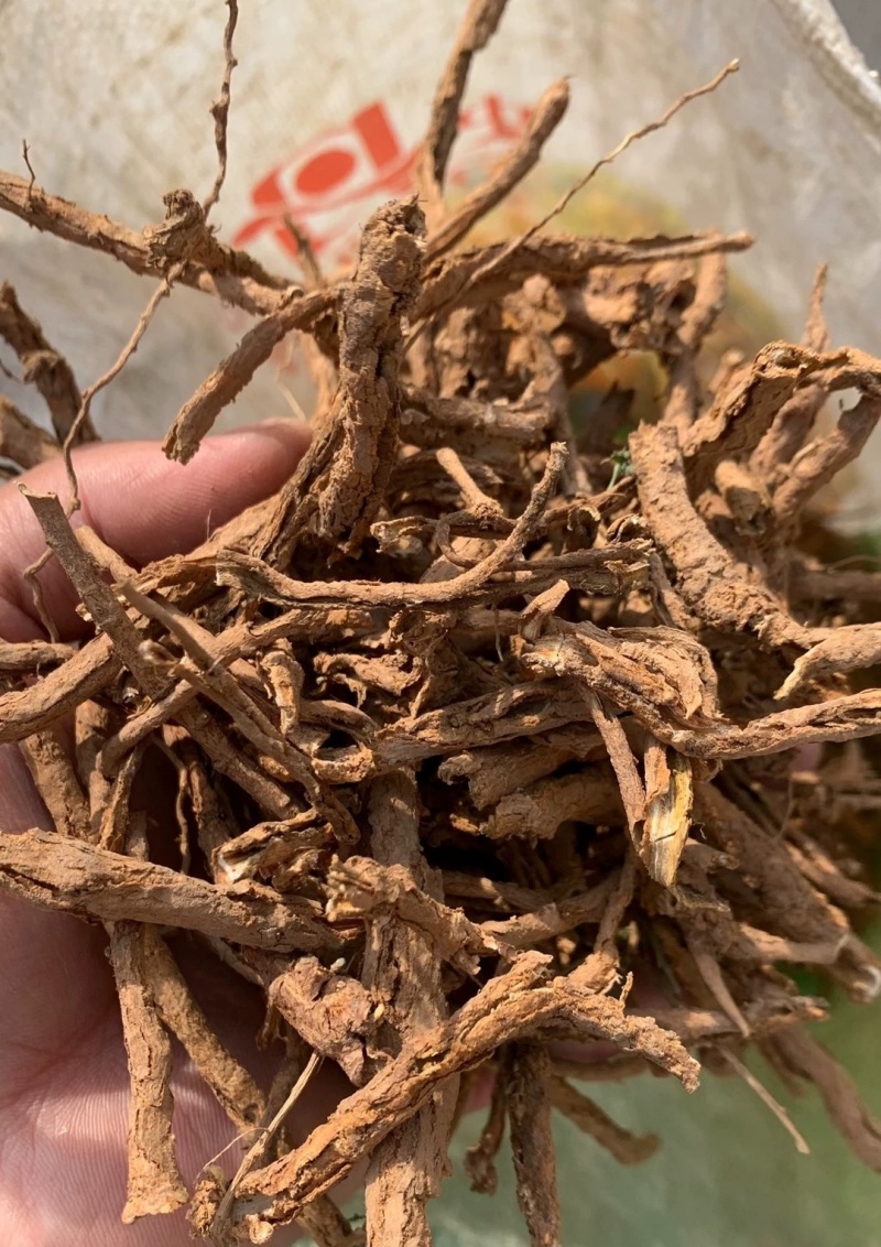 伏牛山地骨皮，非种植货源，量大价格优惠，可长期供货！