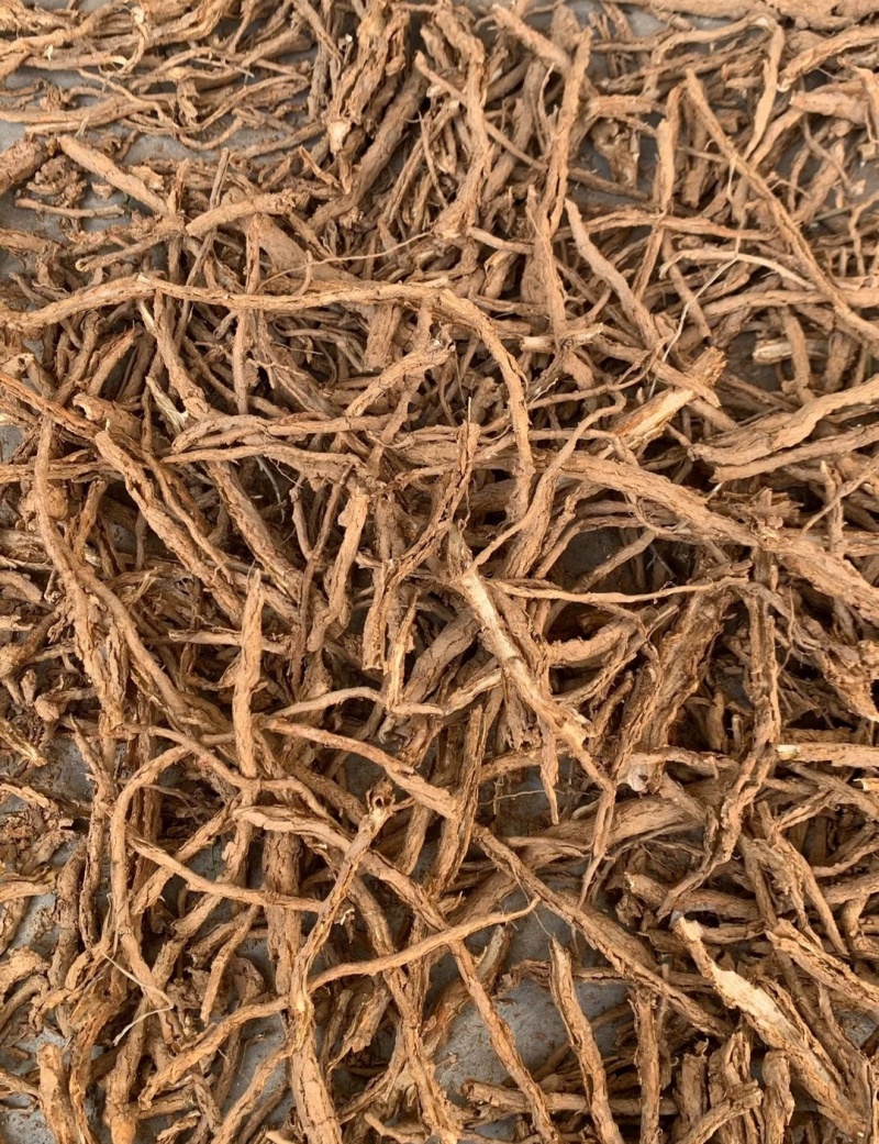 伏牛山地骨皮，非种植货源，量大价格优惠，可长期供货！