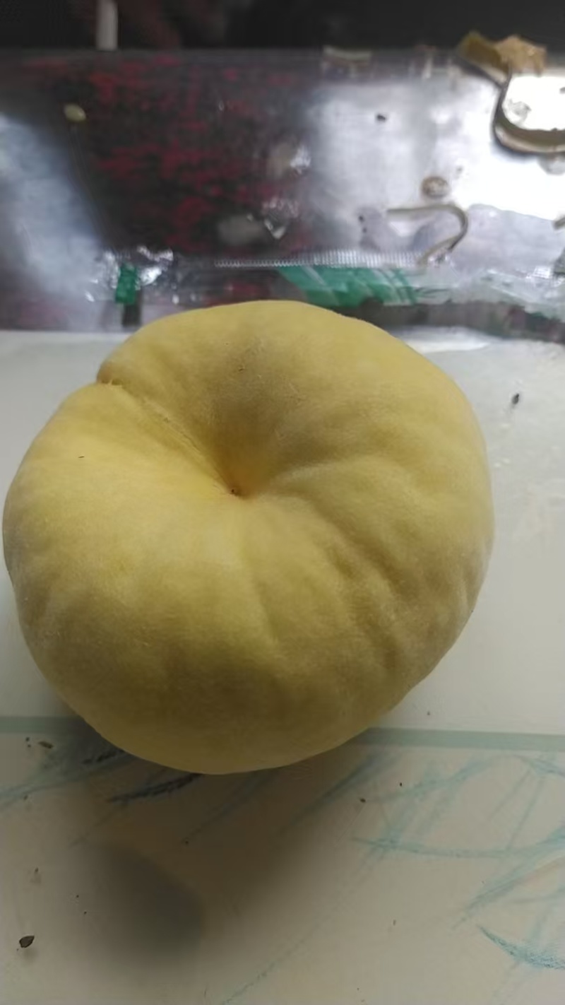毛蟠桃