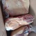 驴肉新鲜驴肉带皮驴肉去皮驴肉保真驴肉