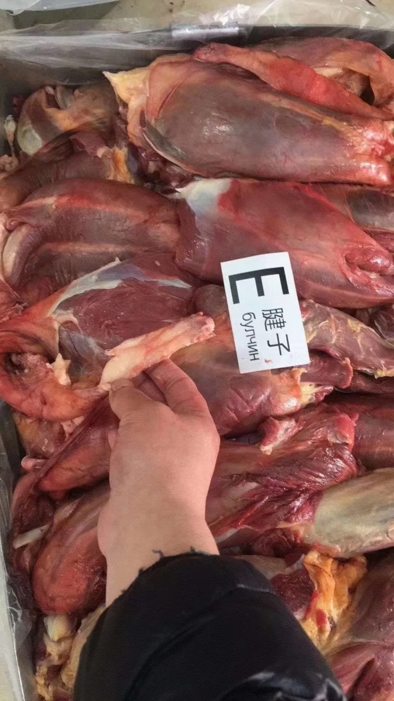 驴肉新鲜驴肉带皮驴肉去皮驴肉保真驴肉
