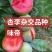 果园直发新品种李子苗味帝李三华李早熟保真品种成活率
