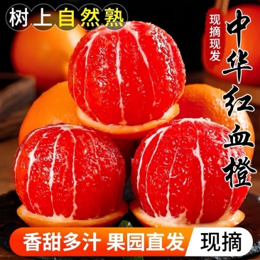 湖北秭归*中华红血橙！大量上市货源稳定供应保障可实地看货