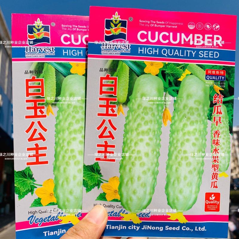 升级白叶三黄瓜种子白玉公主水果黄瓜种子清脆香甜奶油白黄瓜