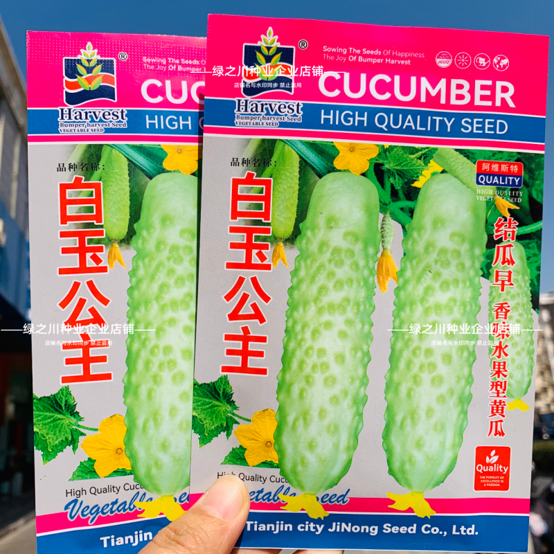 升级白叶三黄瓜种子白玉公主水果黄瓜种子清脆香甜奶油白黄瓜