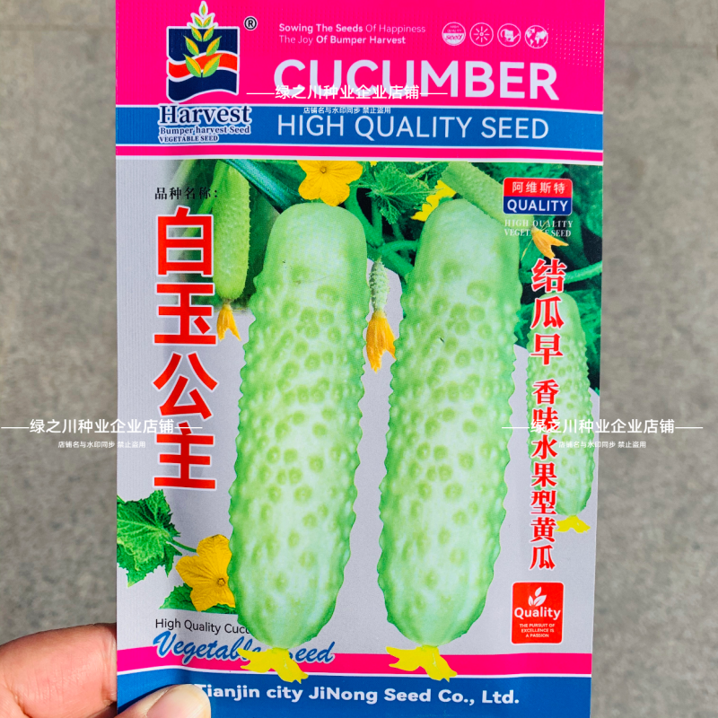 升级白叶三黄瓜种子白玉公主水果黄瓜种子清脆香甜奶油白黄瓜