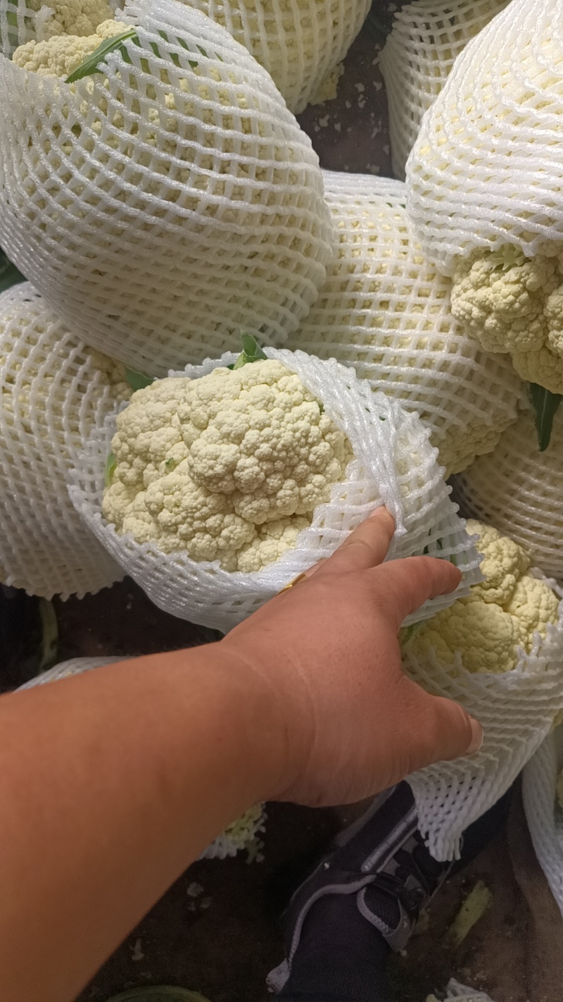 超市直供有机菜花湖北产地直发，货源充足，量大从优，欢迎咨