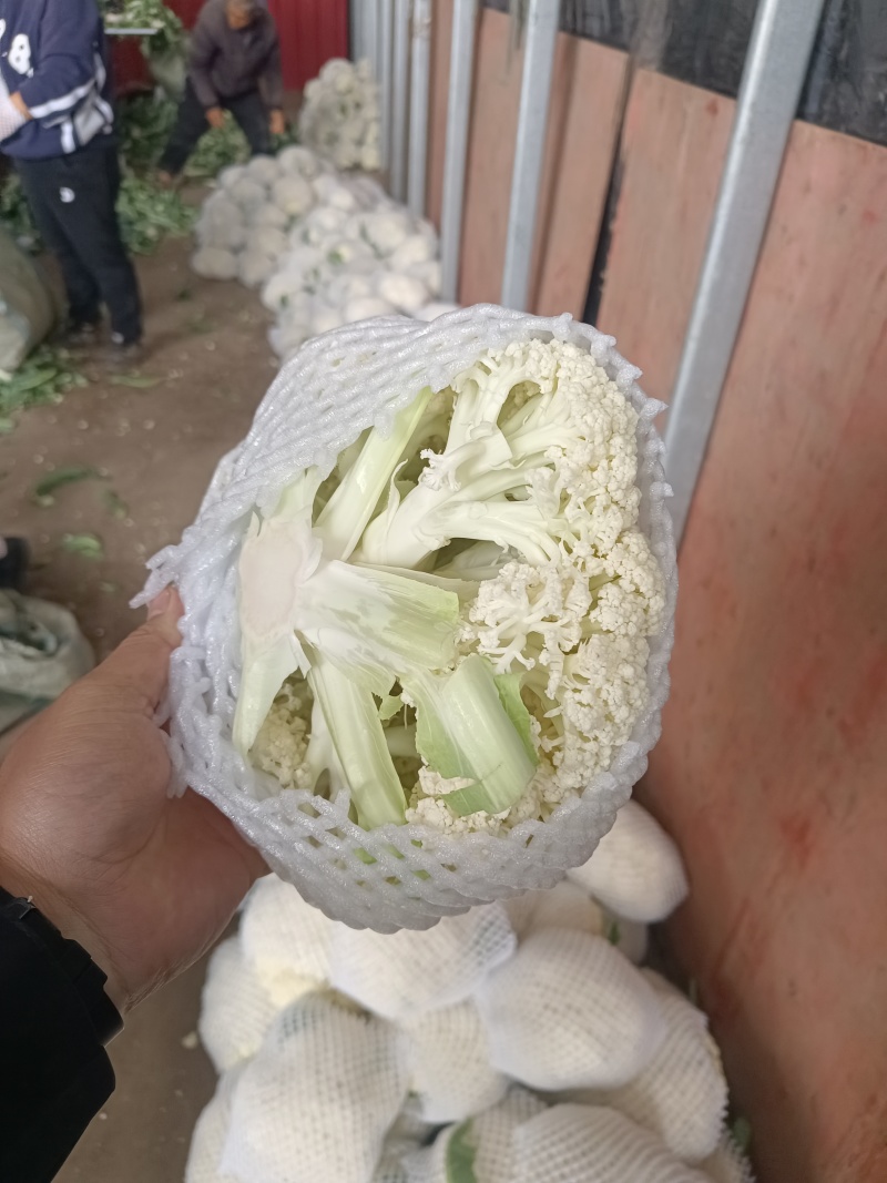 超市直供有机菜花湖北产地直发，货源充足，量大从优，欢迎咨
