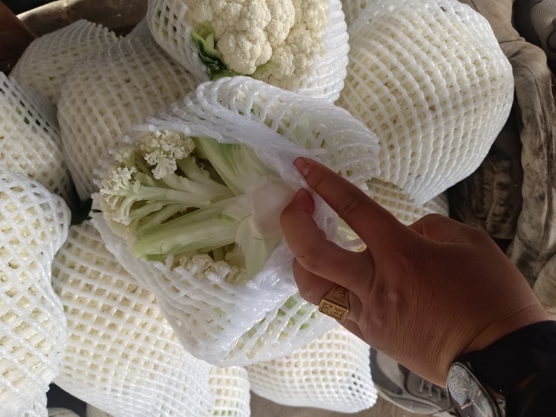 超市直供有机菜花湖北产地直发，货源充足，量大从优，欢迎咨