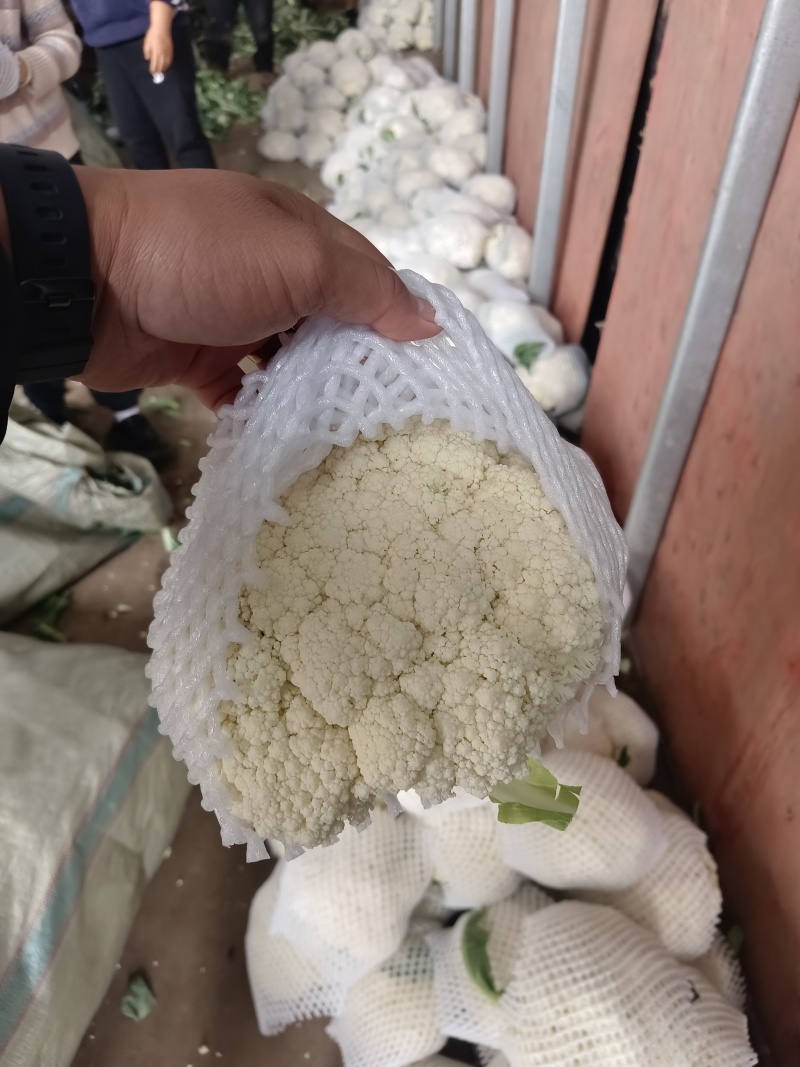 超市直供有机菜花湖北产地直发，货源充足，量大从优，欢迎咨