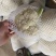 超市直供有机菜花湖北产地直发，货源充足，量大从优，欢迎咨