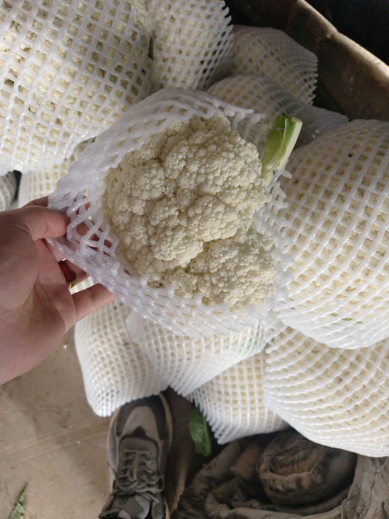 超市直供有机菜花湖北产地直发，货源充足，量大从优，欢迎咨