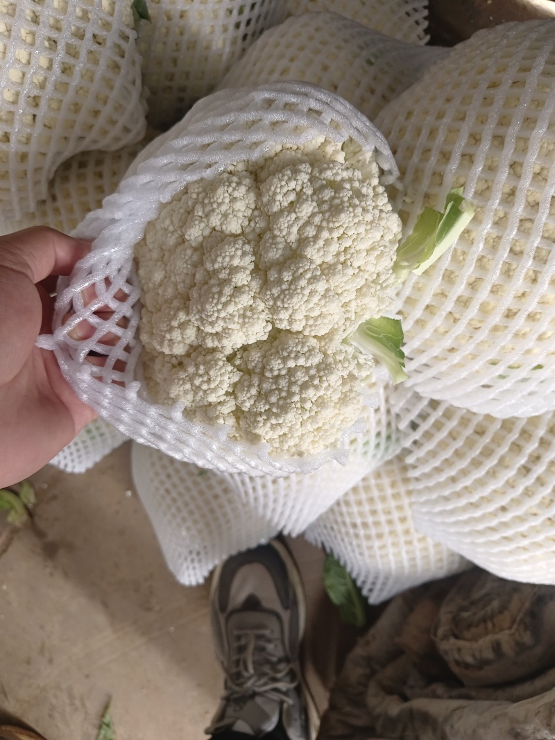 超市直供有机菜花湖北产地直发，货源充足，量大从优，欢迎咨