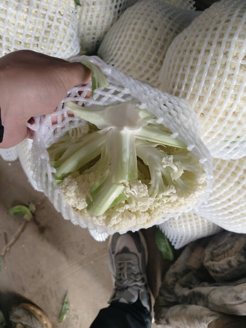 超市直供有机菜花湖北产地直发，货源充足，量大从优，欢迎咨
