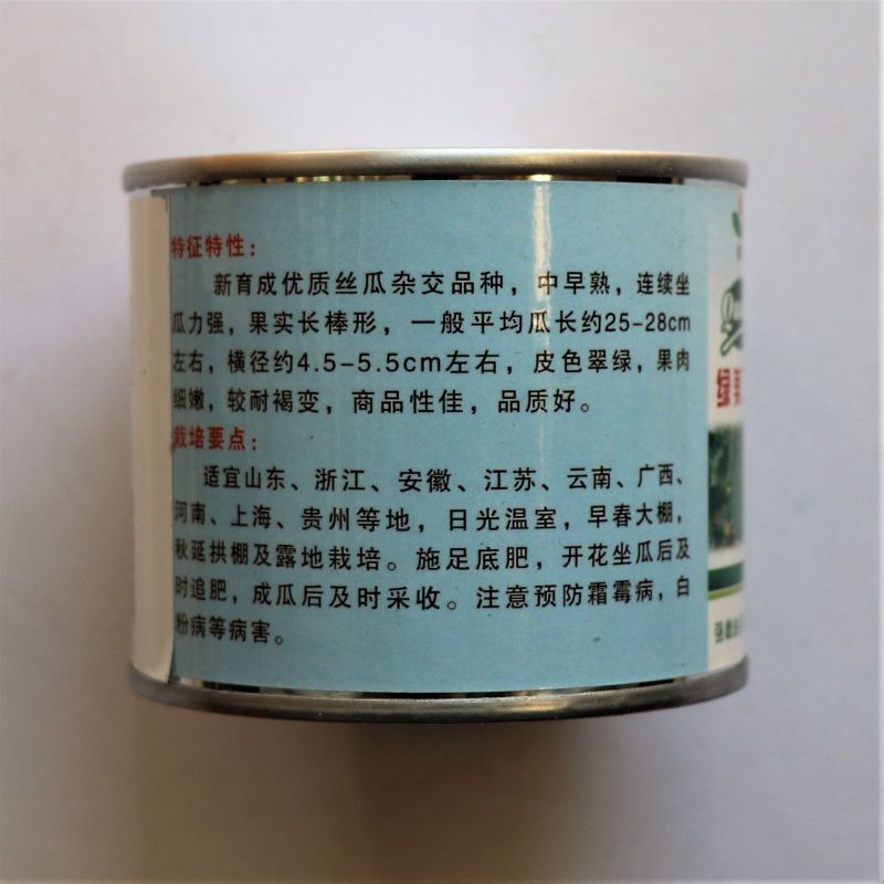 绿美二号短棒油皮丝瓜种子抗病高产强雌油亮香丝瓜种