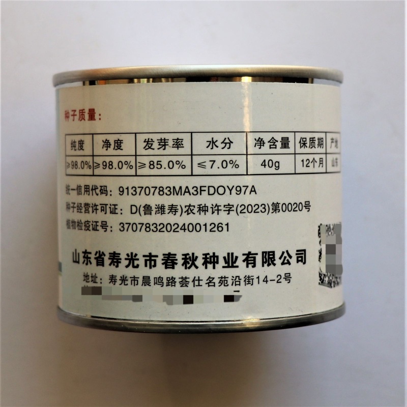 绿美二号短棒油皮丝瓜种子抗病高产强雌油亮香丝瓜种
