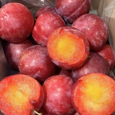 智利樱桃李5斤礼盒装进口水果李子