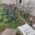 娱蜂翁牌土蜂蜜